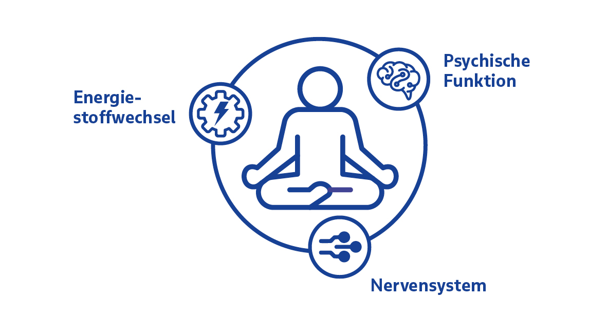 B-Strong Einsatzgebiete