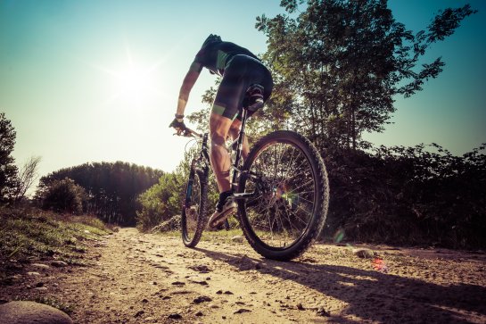 Ein Mann ist in der Natur am Mountainbiken. Ein Sinnbild für körperliche Leistungsfähigkeit