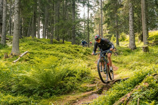 Eine Frau am Mountainbiken im Wald