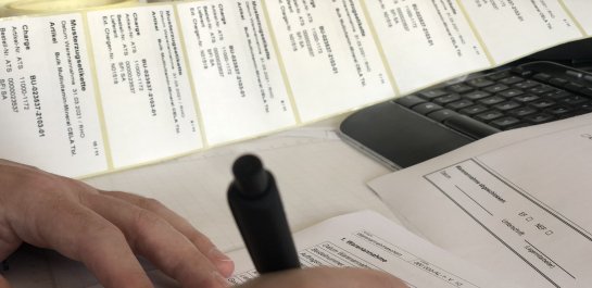 Die Auswahl der Rohstoffe